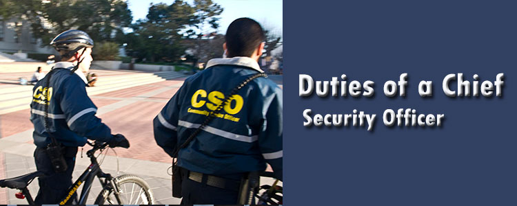 Duties of a Chief Security Officer (CSO)